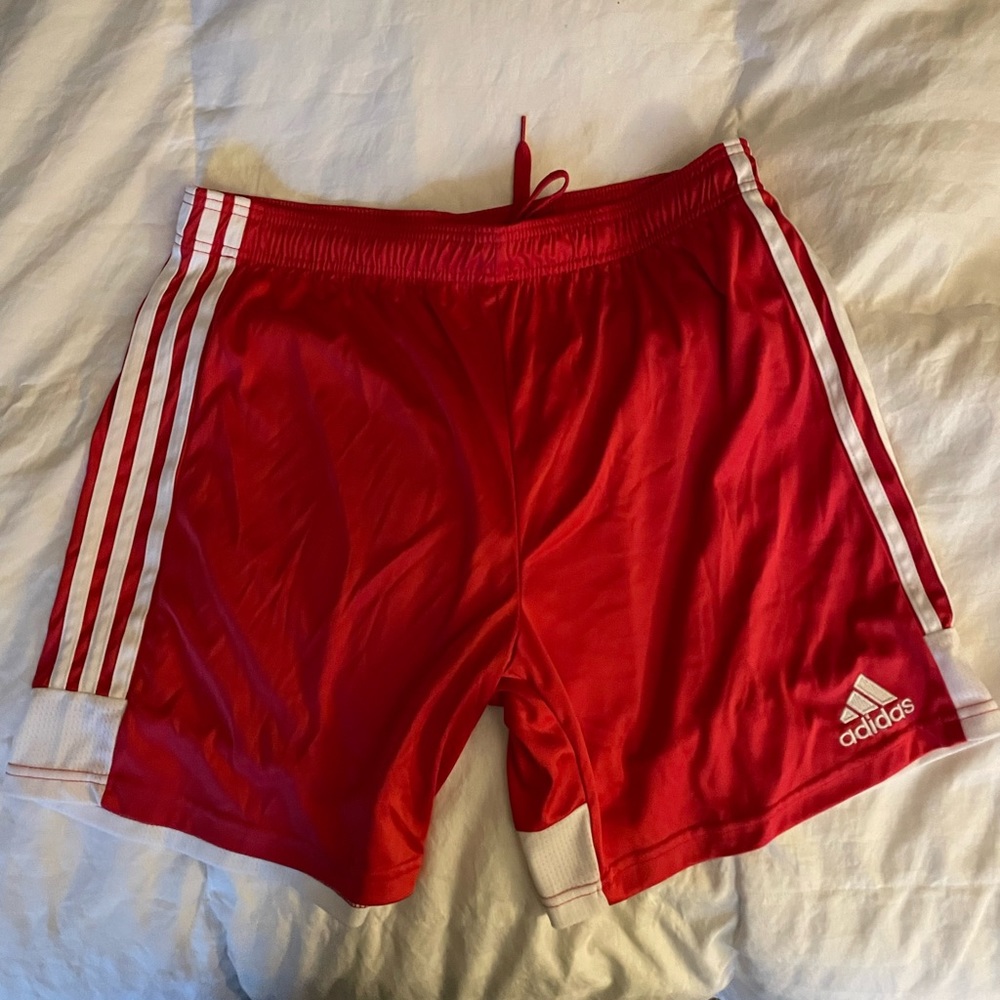 Adidas shorts L